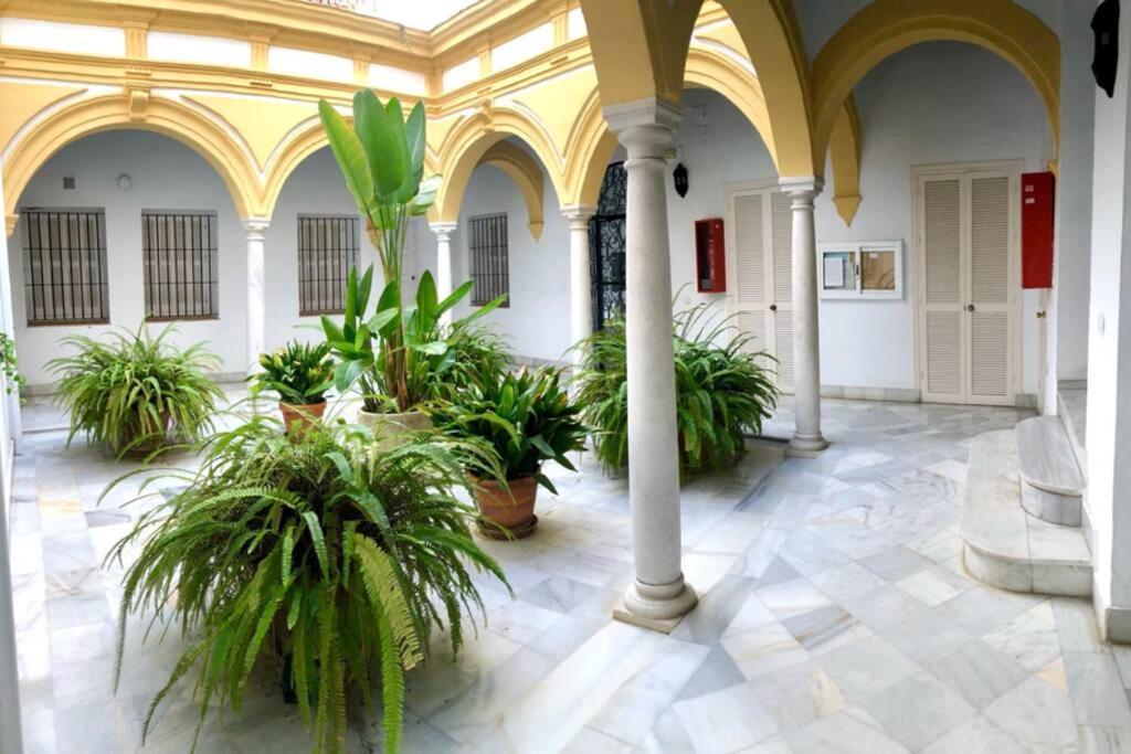 Gatu Villa Palma, Aire Acc Y Confort En El Centro Historico, " Preferente Mayores De 25 Anos Y Familias " El Puerto de Santa María Eksteriør bilde